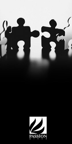 Consulting Jigsaw